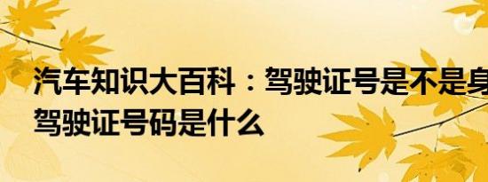 汽车知识大百科：驾驶证号是不是身份证号 驾驶证号码是什么