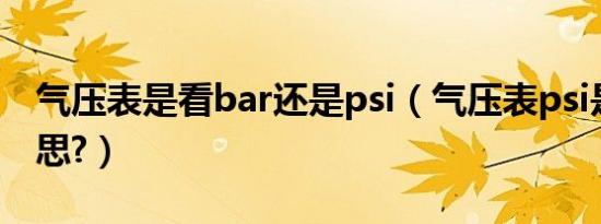 气压表是看bar还是psi（气压表psi是什么意思?）