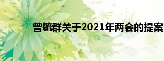 曾毓群关于2021年两会的提案