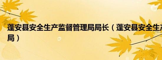 蓬安县安全生产监督管理局局长（蓬安县安全生产监督管理局）