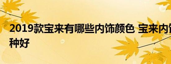 2019款宝来有哪些内饰颜色 宝来内饰颜色哪种好 