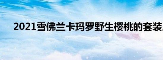 2021雪佛兰卡玛罗野生樱桃的套装展示