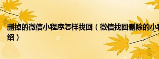 删掉的微信小程序怎样找回（微信找回删除的小程序简介介绍）