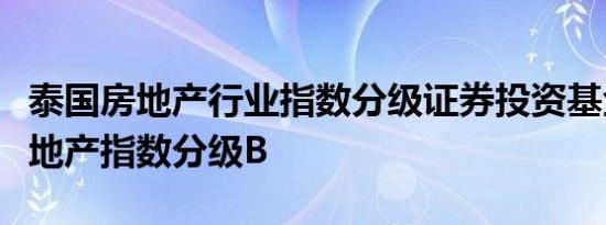 泰国房地产行业指数分级证券投资基金泰国房地产指数分级B