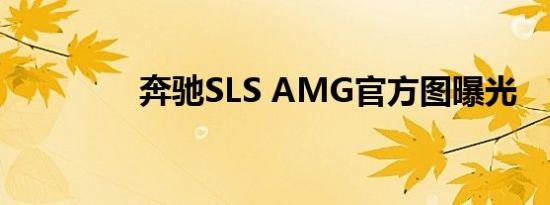 奔驰SLS AMG官方图曝光