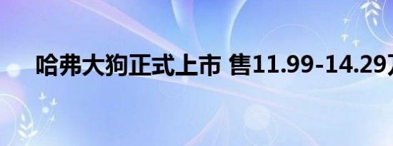 哈弗大狗正式上市 售11.99-14.29万元