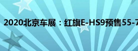 2020北京车展：红旗E-HS9预售55-75万元