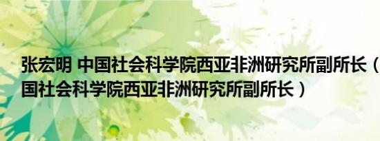 张宏明 中国社会科学院西亚非洲研究所副所长（张宏明 中国社会科学院西亚非洲研究所副所长）