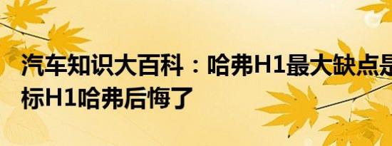 汽车知识大百科：哈弗H1最大缺点是 买了红标H1哈弗后悔了