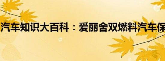 汽车知识大百科：爱丽舍双燃料汽车保养手册