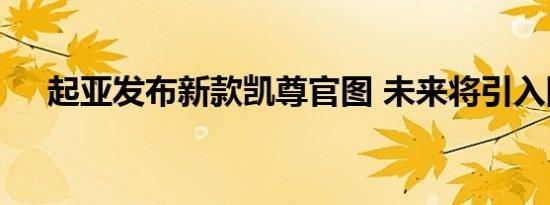 起亚发布新款凯尊官图 未来将引入国内