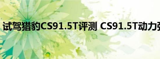 试驾猎豹CS91.5T评测 CS91.5T动力强不强 