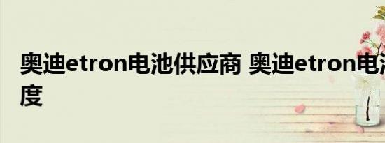 奥迪etron电池供应商 奥迪etron电池能量密度