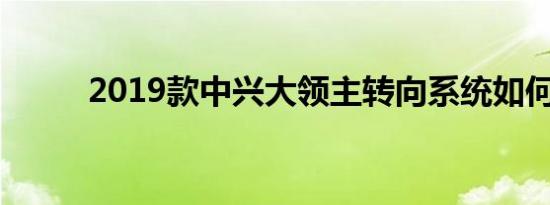 2019款中兴大领主转向系统如何 