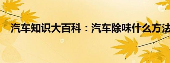 汽车知识大百科：汽车除味什么方法最好