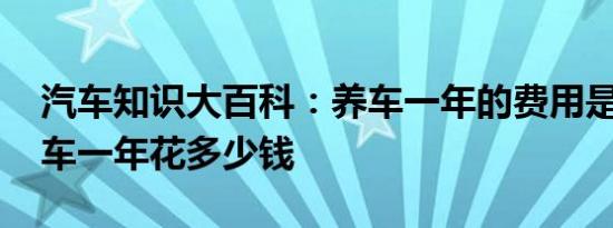 汽车知识大百科：养车一年的费用是多少 养车一年花多少钱