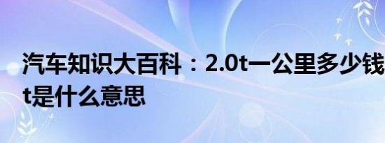 汽车知识大百科：2.0t一公里多少钱 汽车2.0t是什么意思