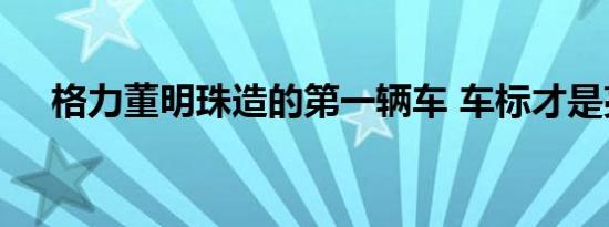 格力董明珠造的第一辆车 车标才是亮点