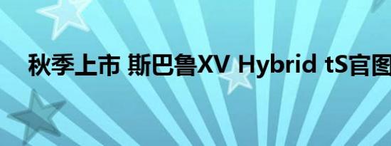 秋季上市 斯巴鲁XV Hybrid tS官图发布