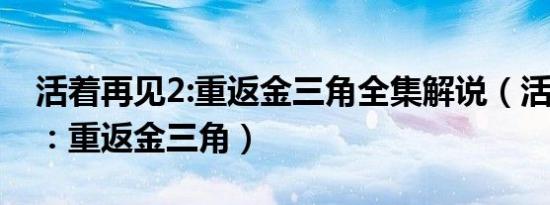 活着再见2:重返金三角全集解说（活着再见2：重返金三角）