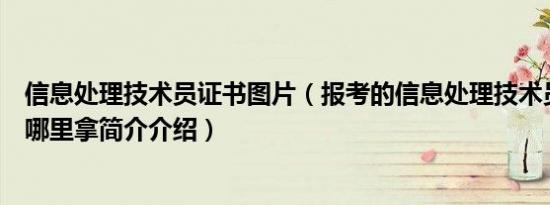 信息处理技术员证书图片（报考的信息处理技术员的证书去哪里拿简介介绍）