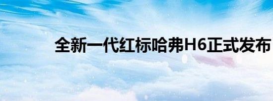 全新一代红标哈弗H6正式发布