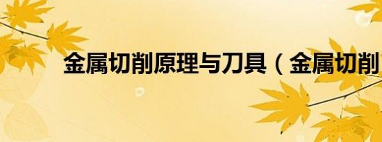 金属切削原理与刀具（金属切削）