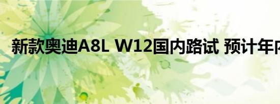 新款奥迪A8L W12国内路试 预计年内上市