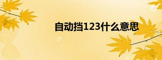 自动挡123什么意思