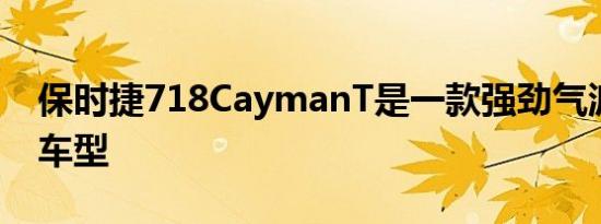 保时捷718CaymanT是一款强劲气派的基础车型