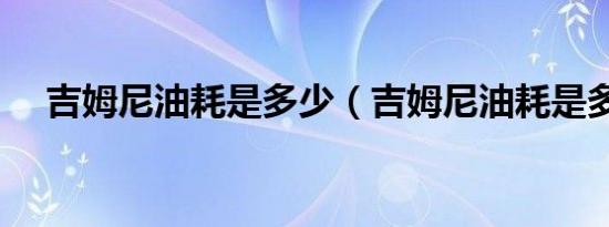 吉姆尼油耗是多少（吉姆尼油耗是多少）