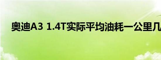 奥迪A3 1.4T实际平均油耗一公里几毛钱