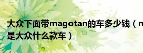 大众下面带magotan的车多少钱（magotan是大众什么款车）