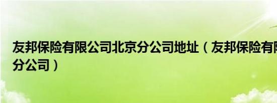 友邦保险有限公司北京分公司地址（友邦保险有限公司北京分公司）