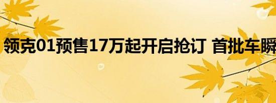 领克01预售17万起开启抢订 首批车瞬间秒光