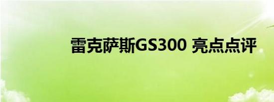 雷克萨斯GS300 亮点点评