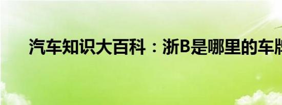 汽车知识大百科：浙B是哪里的车牌号