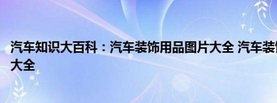 汽车知识大百科：汽车装饰用品图片大全 汽车装饰用品价格大全