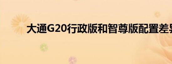 大通G20行政版和智尊版配置差异