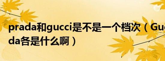 prada和gucci是不是一个档次（Gucci和Prada各是什么啊）