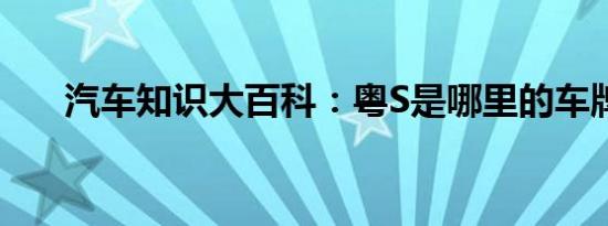 汽车知识大百科：粤S是哪里的车牌号