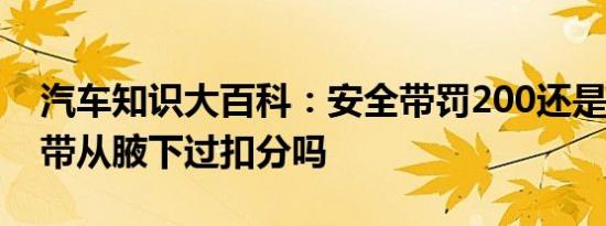 汽车知识大百科：安全带罚200还是50 安全带从腋下过扣分吗