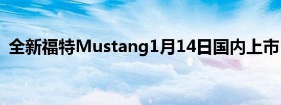 全新福特Mustang1月14日国内上市 5款车