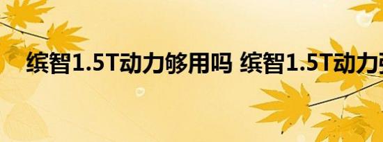 缤智1.5T动力够用吗 缤智1.5T动力强吗 