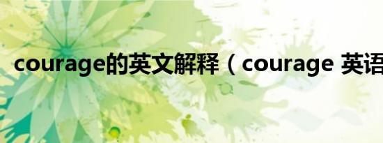 courage的英文解释（courage 英语单词）