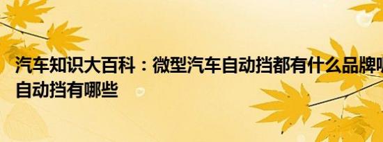 汽车知识大百科：微型汽车自动挡都有什么品牌呢 微型汽车自动挡有哪些