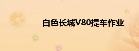 白色长城V80提车作业