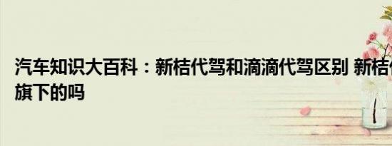 汽车知识大百科：新桔代驾和滴滴代驾区别 新桔代驾是滴滴旗下的吗