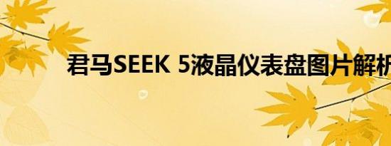 君马SEEK 5液晶仪表盘图片解析