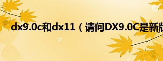 dx9.0c和dx11（请问DX9.0C是新版吗）